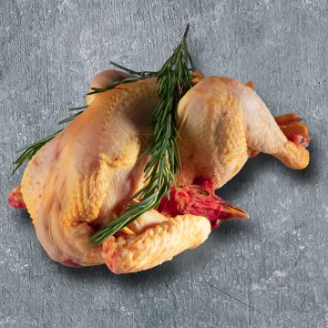 IL POLLO RUSPANTE-2